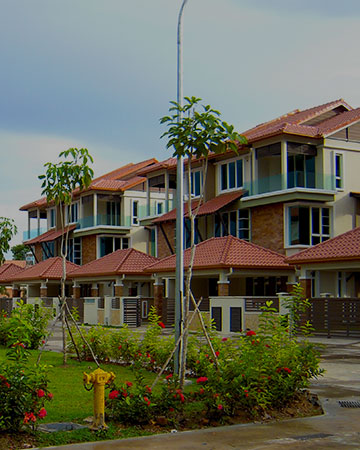 Design & Build Services